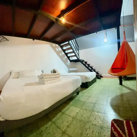 Ardour Lodge 